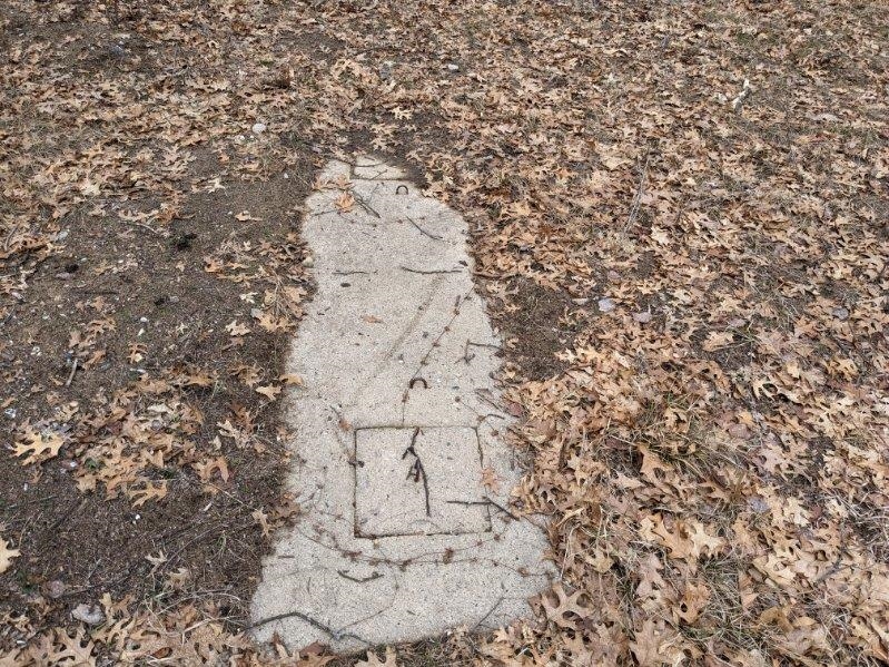 V/l Rollway Road South Branch, MI 48761 - Photo 6 of 6