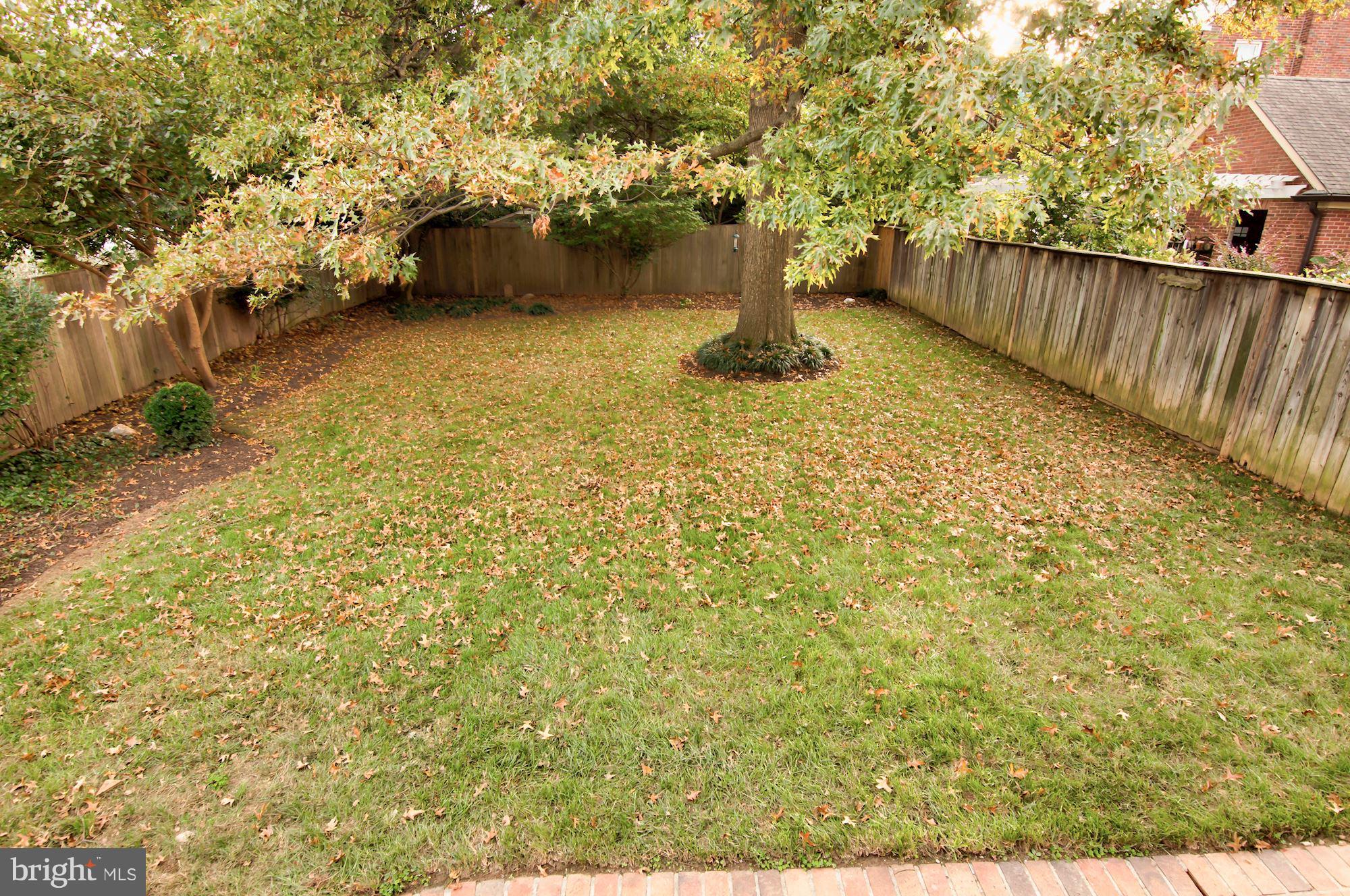 710 West Braddock Road Alexandria, VA 22302 - Photo 29 of 30 Exterior (Rear)