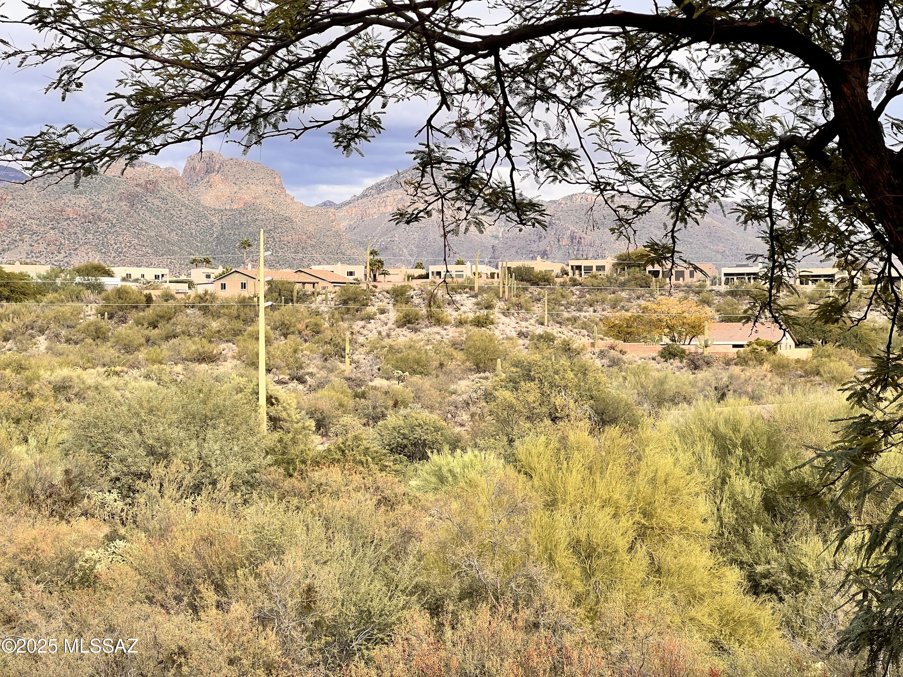 7255 East Snyder Road, Unit 7204 Tucson, AZ 85750 - Photo 29 of 29 IMG_6239