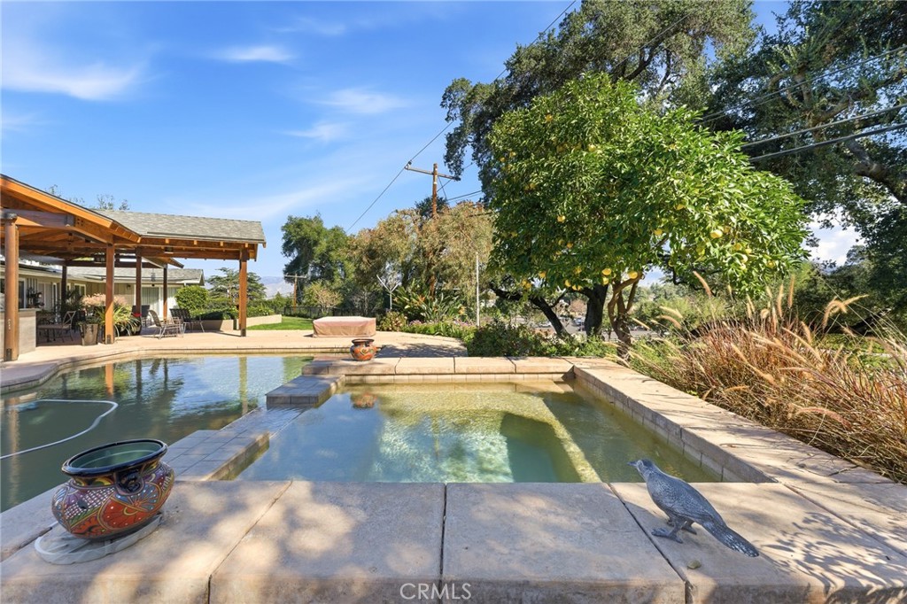 1805 Canyon Road Redlands, CA 92373 - Photo 54 of 61 a view of swimming pool with outdoor seating and plants