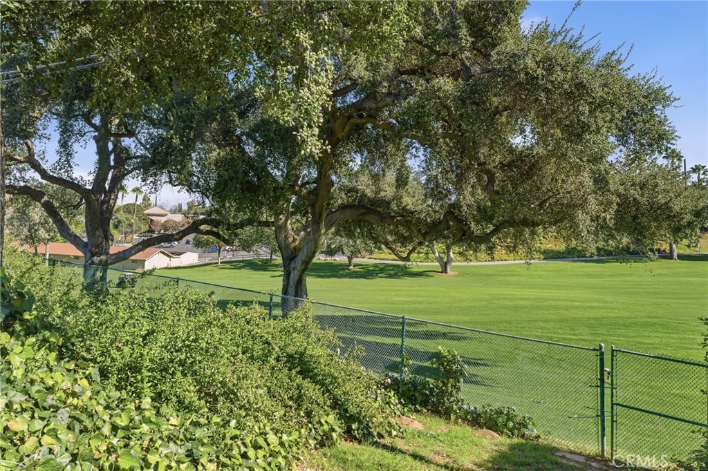 1805 Canyon Road Redlands, CA 92373 - Photo 59 of 61 Pretty amazing view with access to the course