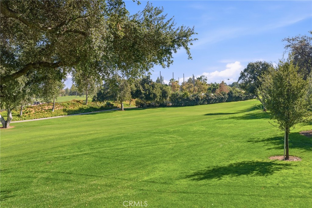 1805 Canyon Road Redlands, CA 92373 - Photo 60 of 61 a view of a trees in a yard