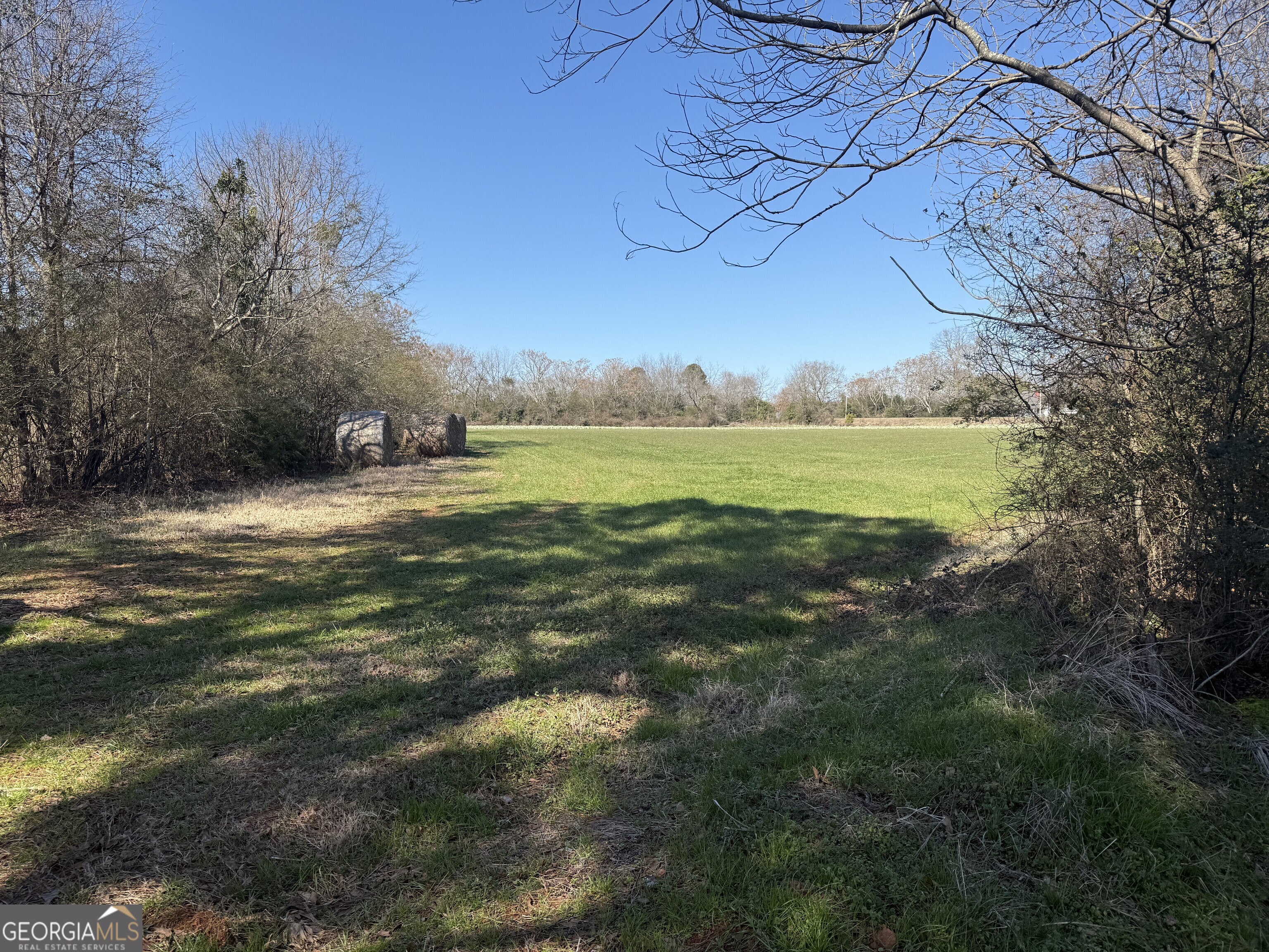 0 Liberty Church Road Monticello, GA 31064 - Photo 2 of 3