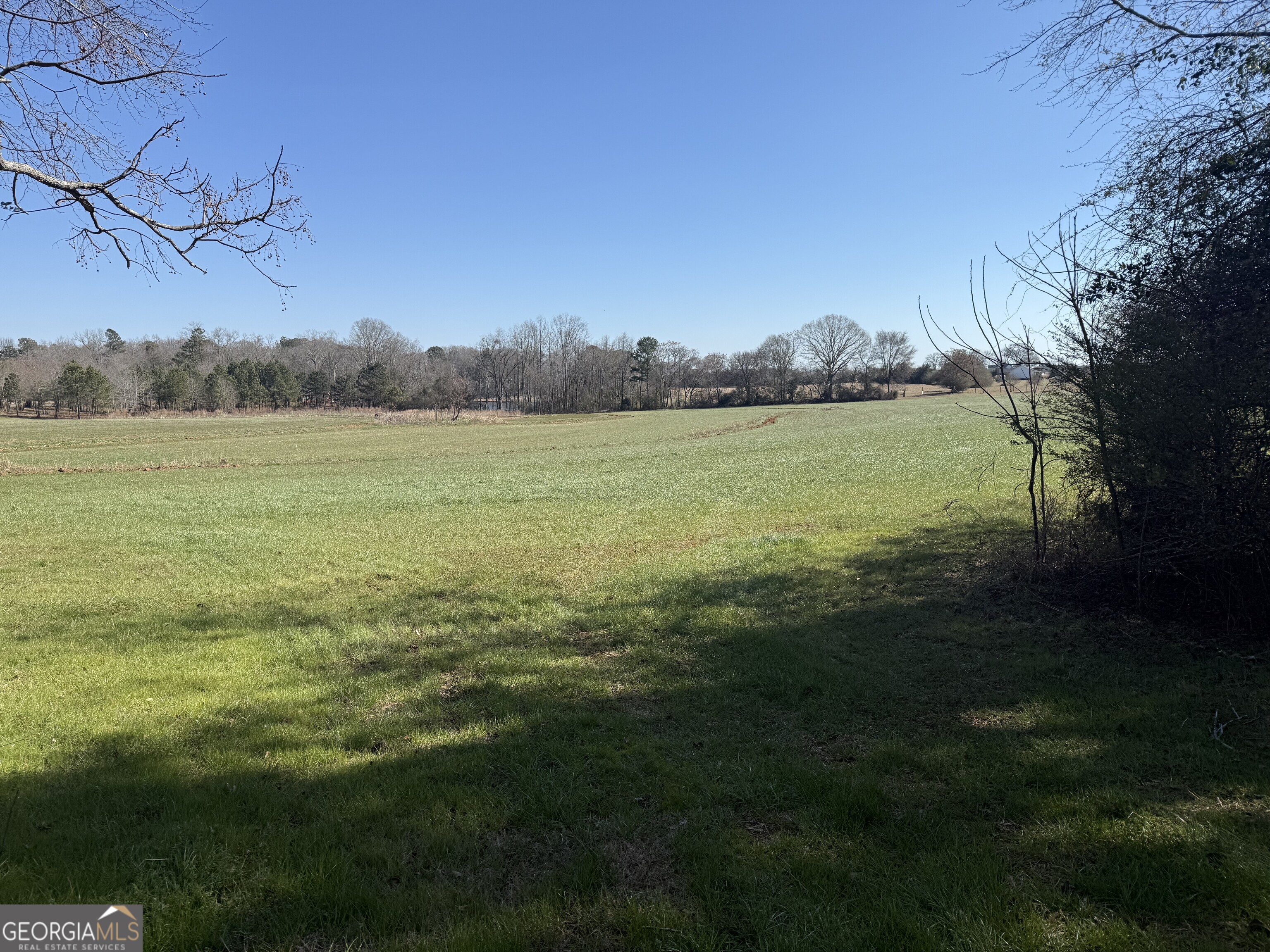 0 Liberty Church Road Monticello, GA 31064 - Photo 3 of 3