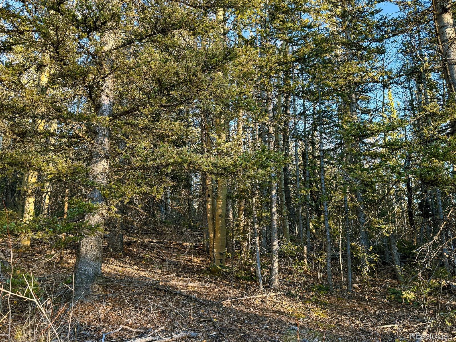 6817 Heckman Road San Luis, CO 81152 - Photo 6 of 8