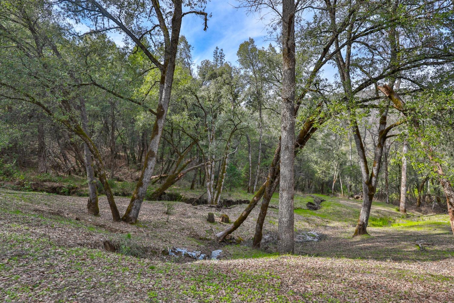 7277 Red Ant Road Somerset, CA 95684 - Photo 29 of 42 a view of a park
