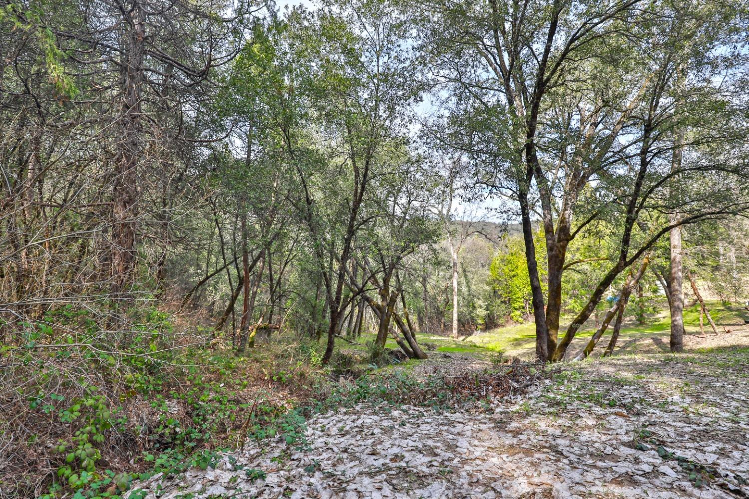 7277 Red Ant Road Somerset, CA 95684 - Photo 31 of 42 a backyard of a house with a trees