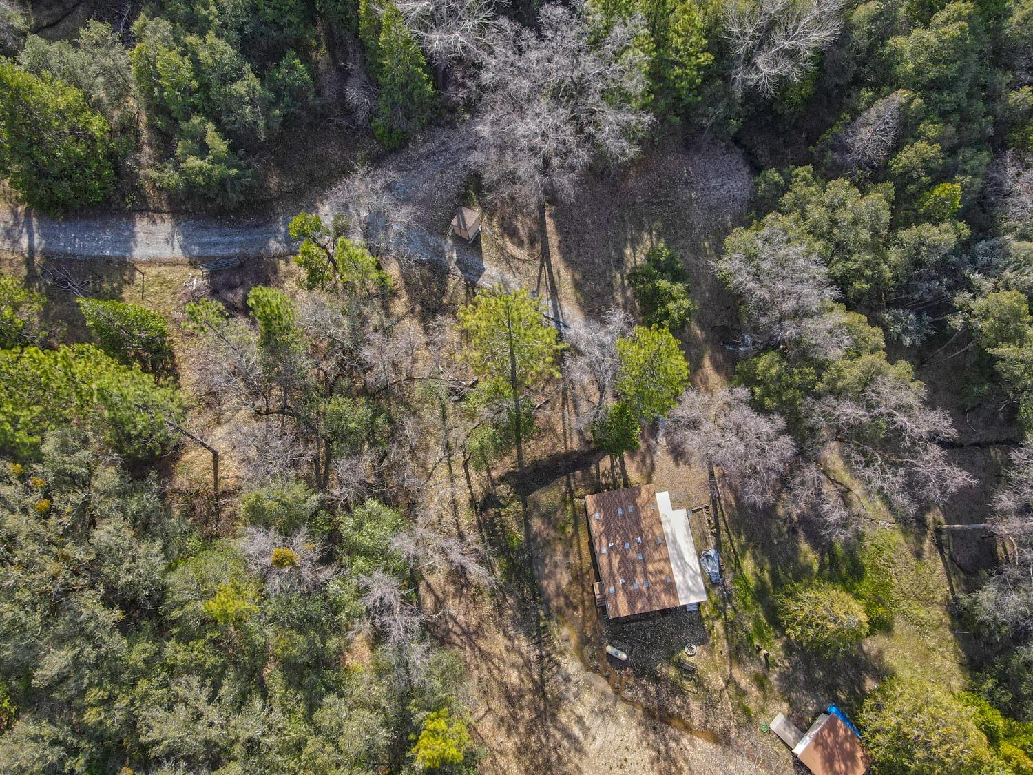 7277 Red Ant Road Somerset, CA 95684 - Photo 38 of 42 a backyard of a house with a yard and outdoor seating