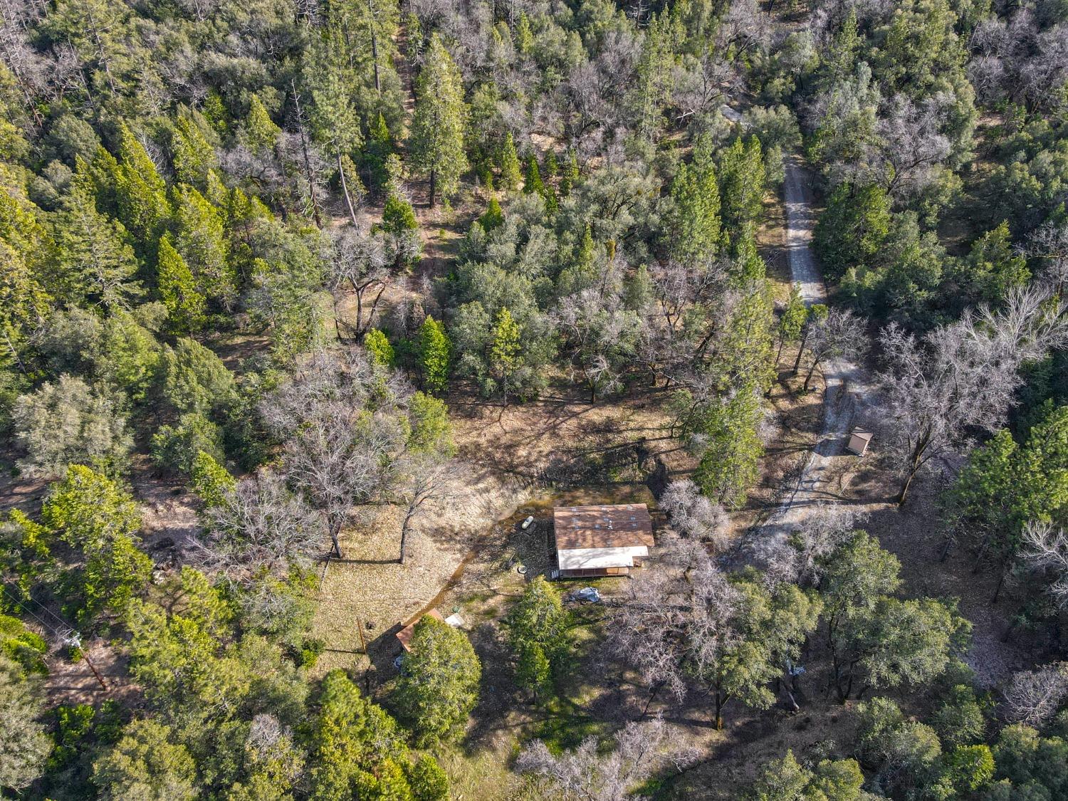 7277 Red Ant Road Somerset, CA 95684 - Photo 39 of 42 a backyard of a house with lots of green space