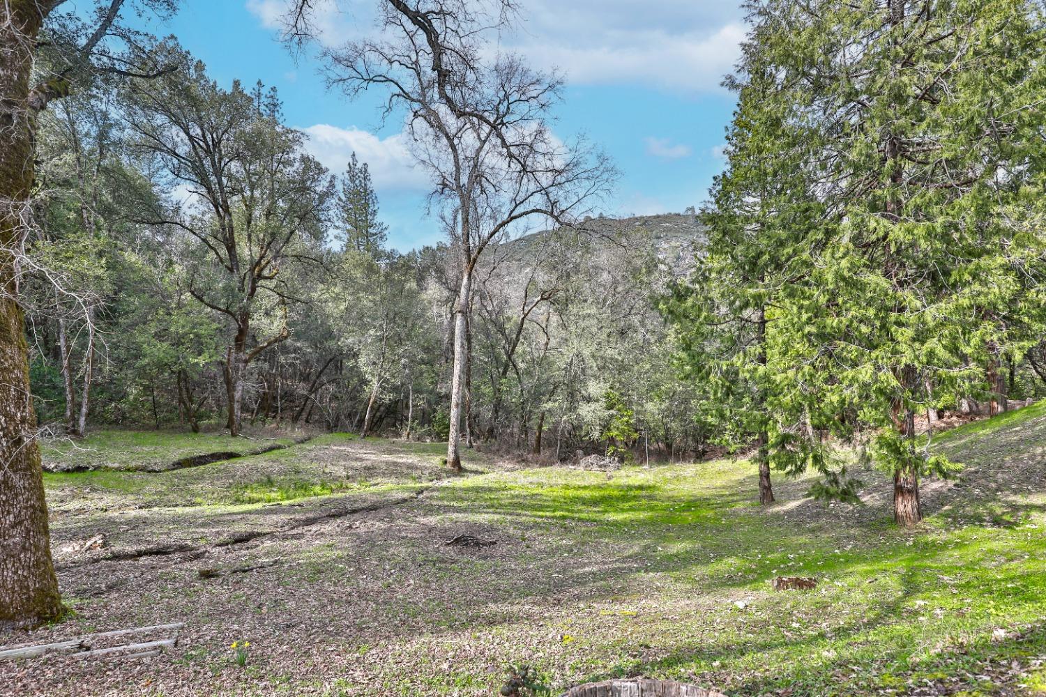 7277 Red Ant Road Somerset, CA 95684 - Photo 5 of 42 a backyard of a house with lots of green space