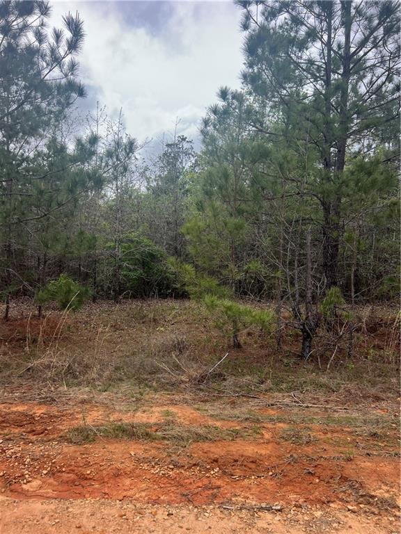 1 Scotts Path Bentley, LA 71407 - Photo 2 of 4