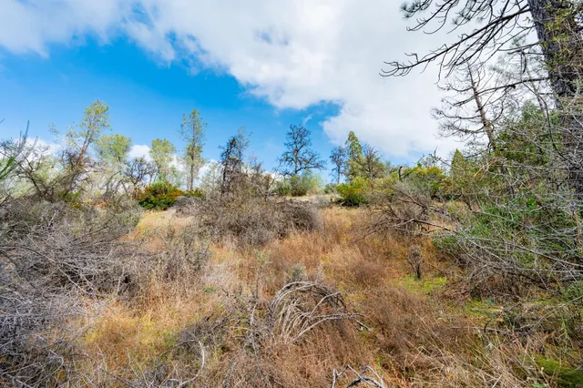 a view of a city with green space