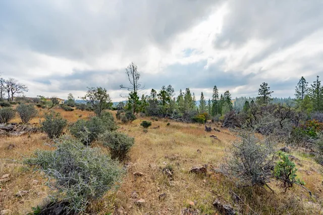 a view of a lake with lots of green space