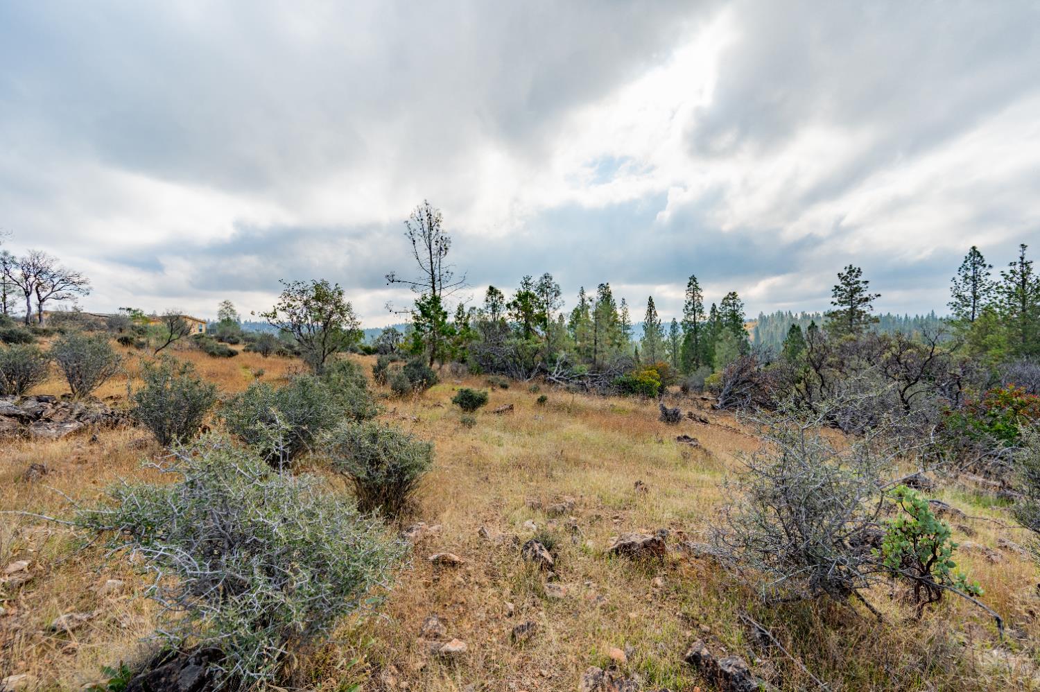 12137 Newtown Road Nevada City, CA 95959 - Photo 15 of 34 a view of a city with green space