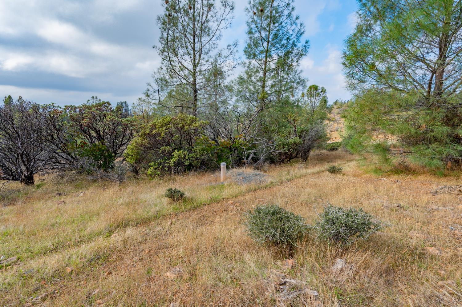 12137 Newtown Road Nevada City, CA 95959 - Photo 16 of 34 a view of a lake with lots of green space
