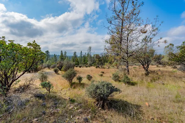 a view of a covered with trees in a field