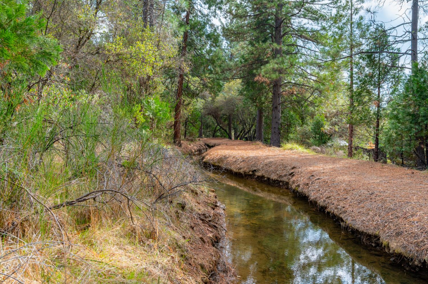 12137 Newtown Road Nevada City, CA 95959 - Photo 22 of 34
