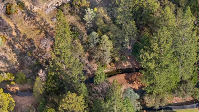 a view of a forest with mountains and a mountain view