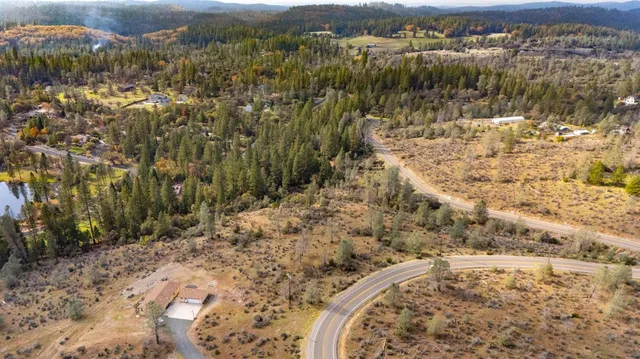 a view of a forest with a trees