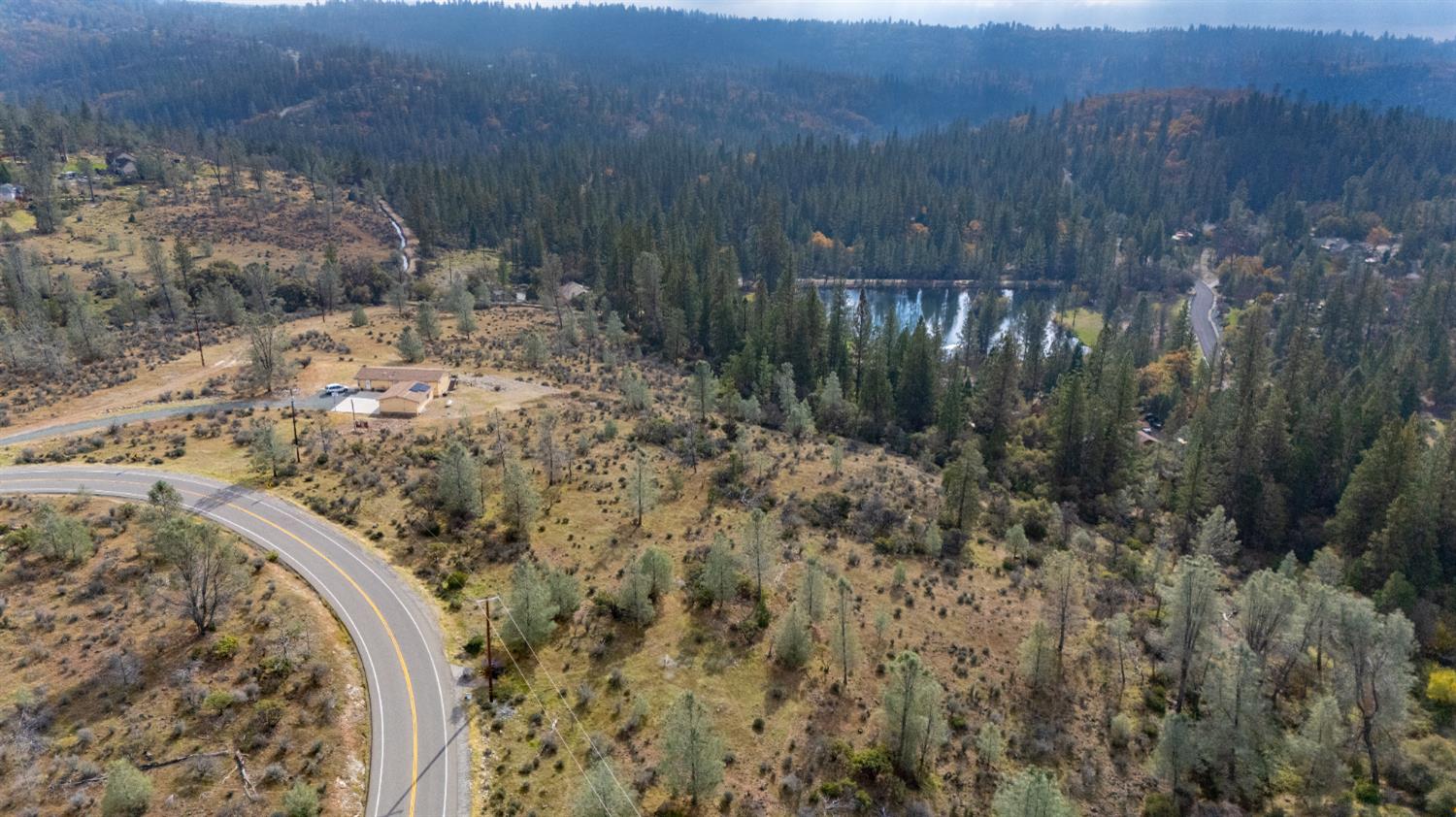 12137 Newtown Road Nevada City, CA 95959 - Photo 30 of 34 a view of a forest with a trees