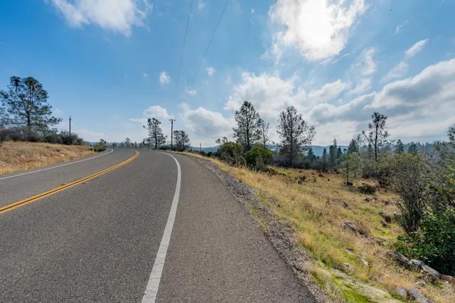 a view of a rural road with plants