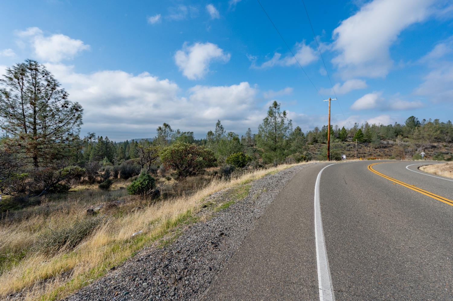 12137 Newtown Road Nevada City, CA 95959 - Photo 5 of 34 a view of a rural road with plants