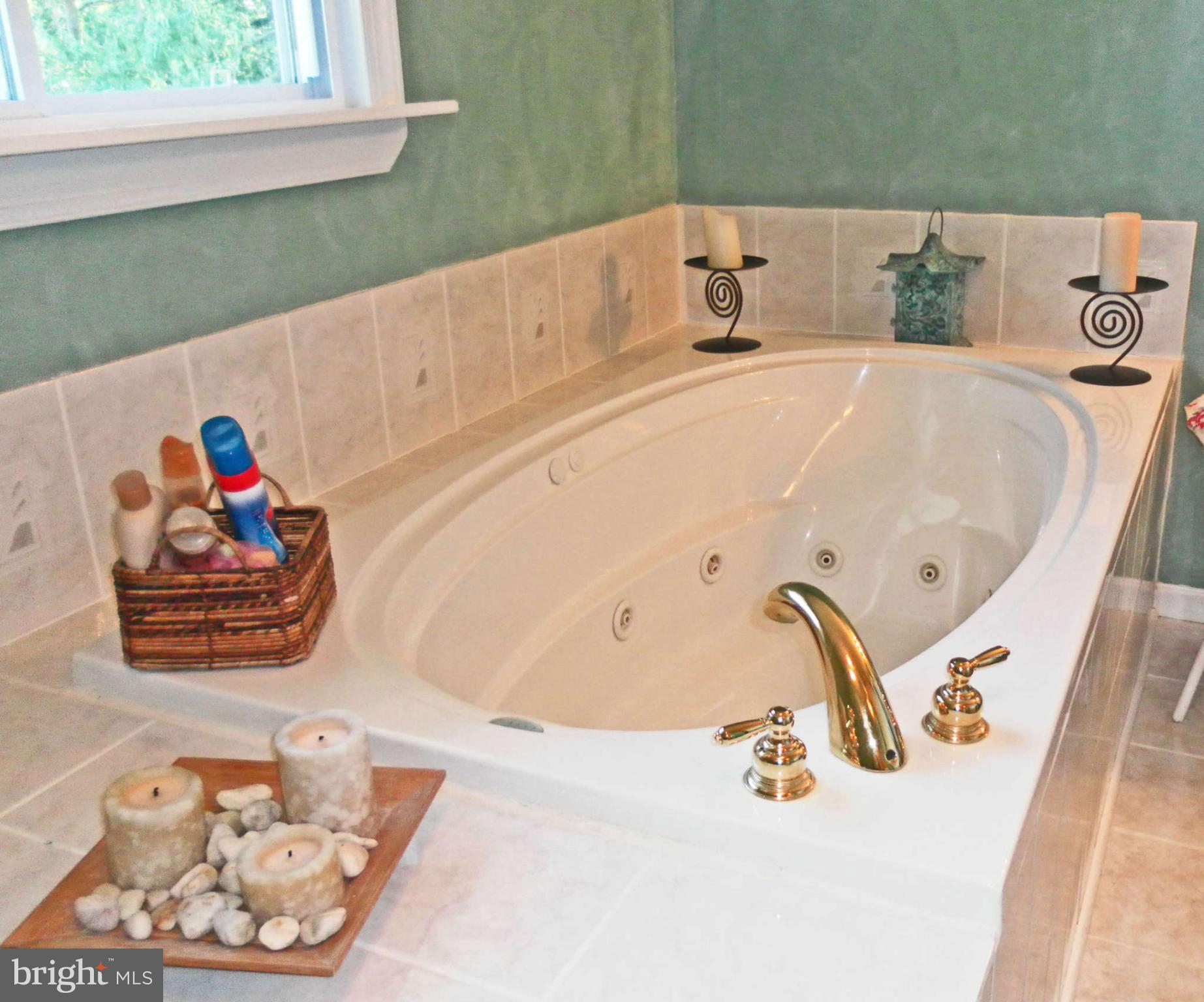 3090 Scottsborough Way Riva, MD 21140 - Photo 13 of 30 Bath (Master)