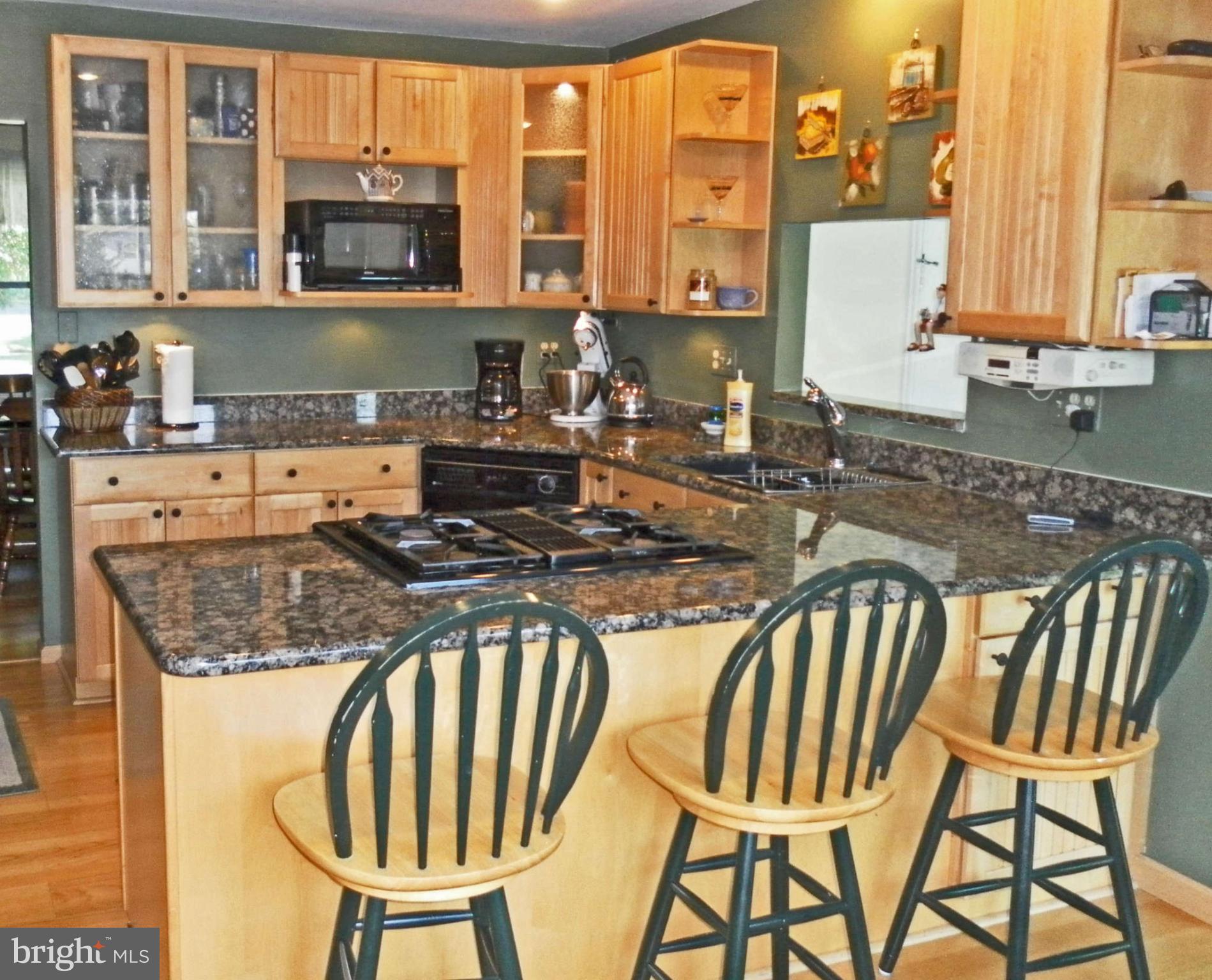 3090 Scottsborough Way Riva, MD 21140 - Photo 3 of 30 Kitchen