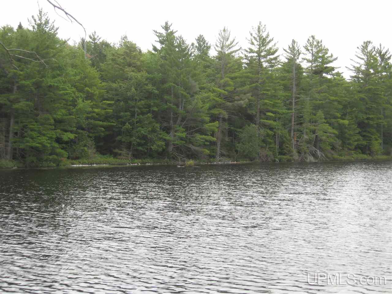 0 Rhody Cr, Unit CARTER LAKE RDP Seney, MI 49883 - Photo 27 of 36