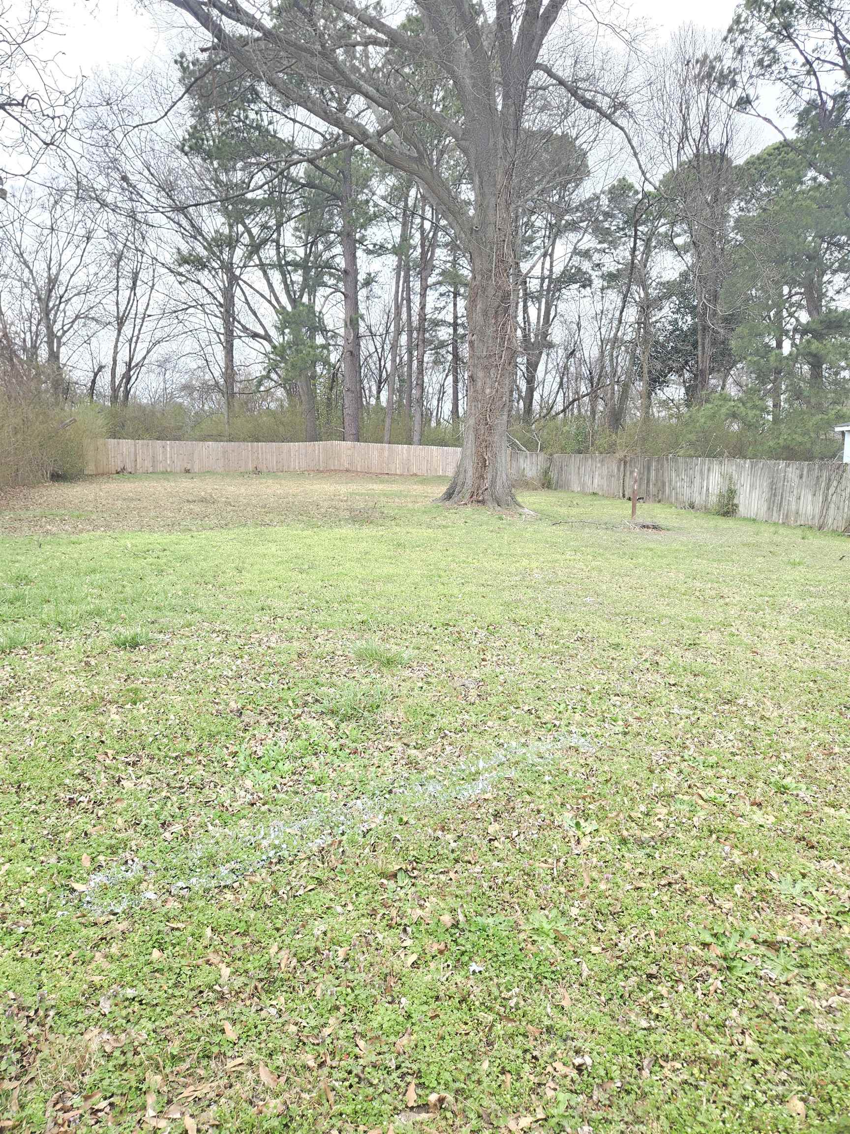 4753 Berta Road Memphis, TN 38109 - Photo 14 of 15 a view of outdoor space with deck and green space