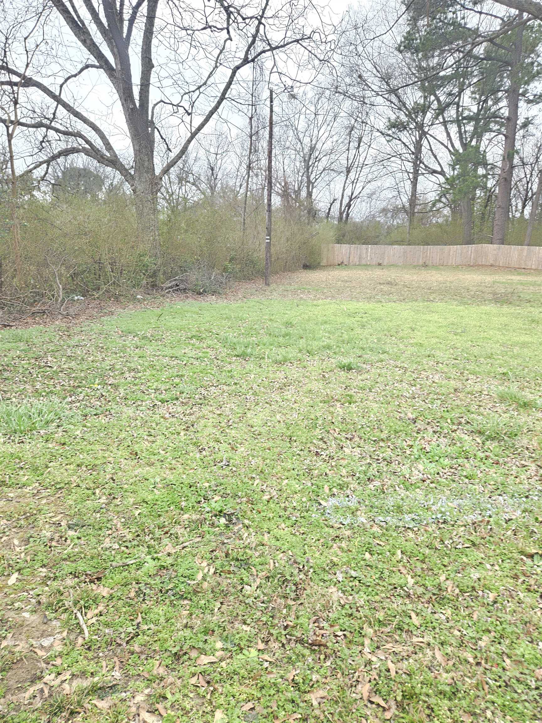 4753 Berta Road Memphis, TN 38109 - Photo 15 of 15 a backyard of a house with lots of green space