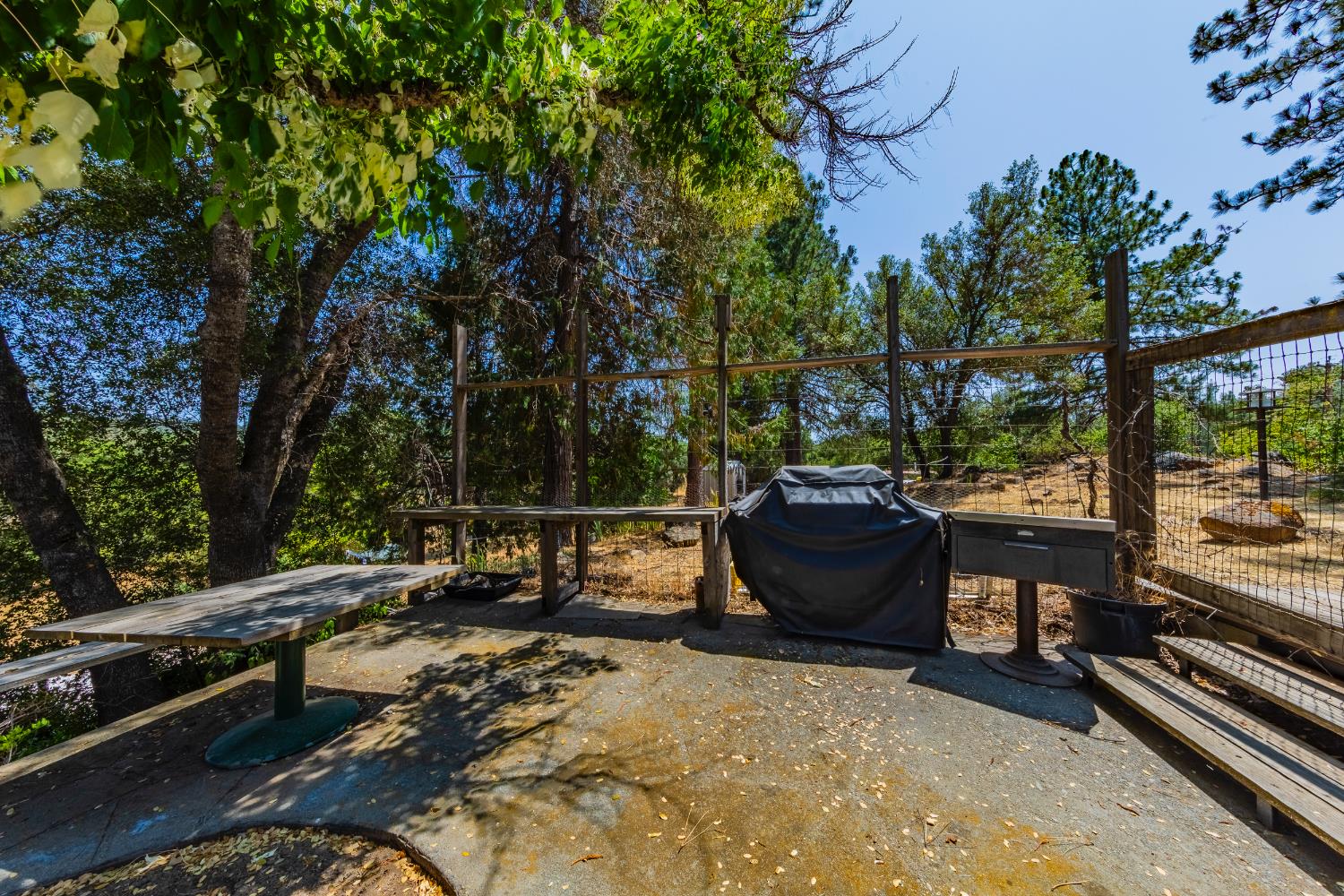 4482 Hirsch Road Mariposa, CA 95338 - Photo 54 of 83 BBQ area