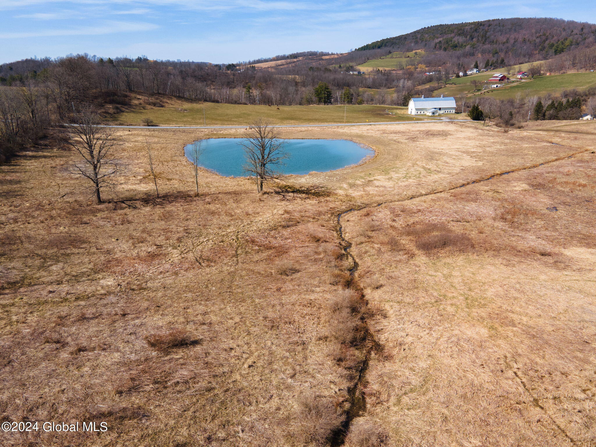 L7 Patrick Road Cobleskill, NY 12043 - Photo 3 of 7 34-web-or-mls-179PatrickRd_34
