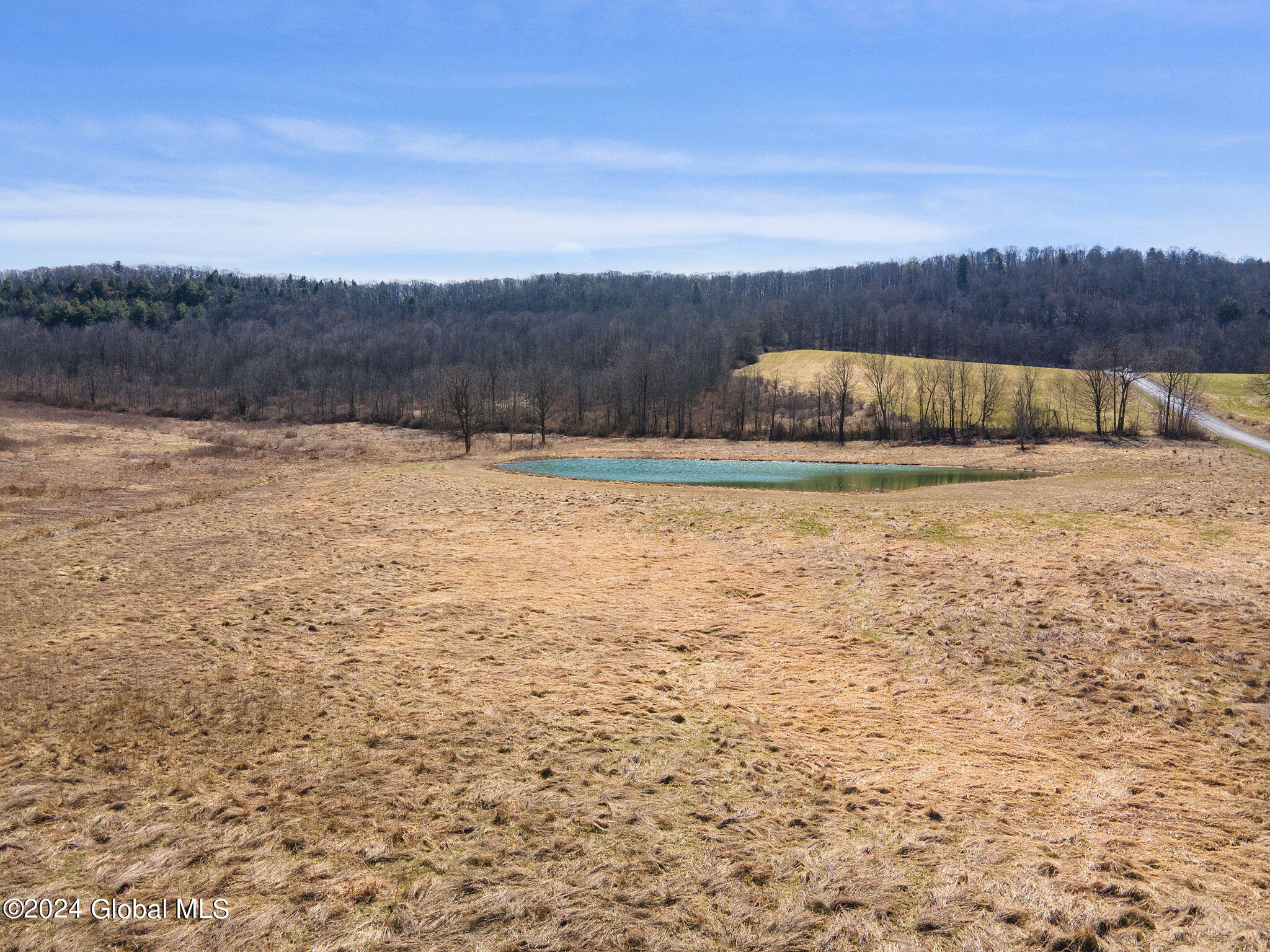 L7 Patrick Road Cobleskill, NY 12043 - Photo 6 of 7 39-web-or-mls-179PatrickRd_39