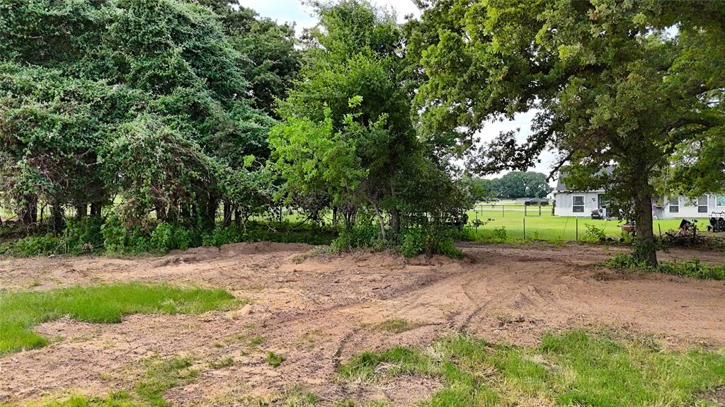 1160 Doss Road Millsap, TX 76066 - Photo 21 of 24 a view of a out door space area