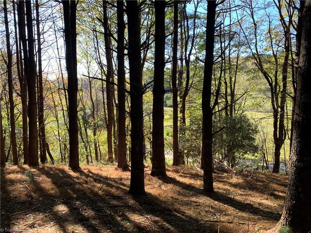 Na Elk Knob Road Laurel Springs, NC 28644 - Photo 11 of 19 Gallery Image 11