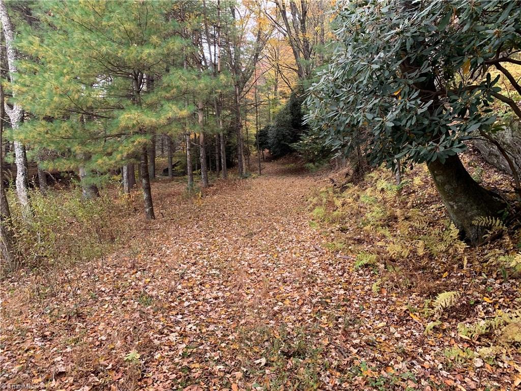 Na Elk Knob Road Laurel Springs, NC 28644 - Photo 12 of 19 Gallery Image 12