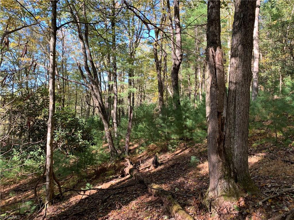 Na Elk Knob Road Laurel Springs, NC 28644 - Photo 8 of 19 Gallery Image 8