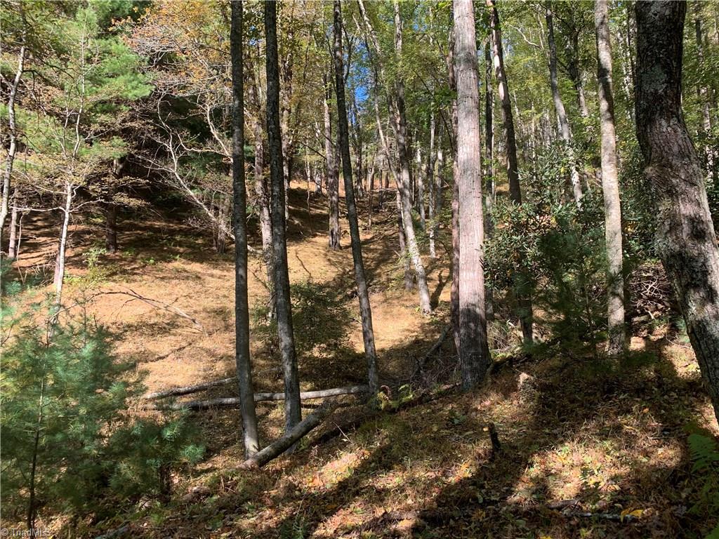 Na Elk Knob Road Laurel Springs, NC 28644 - Photo 10 of 19 Gallery Image 10