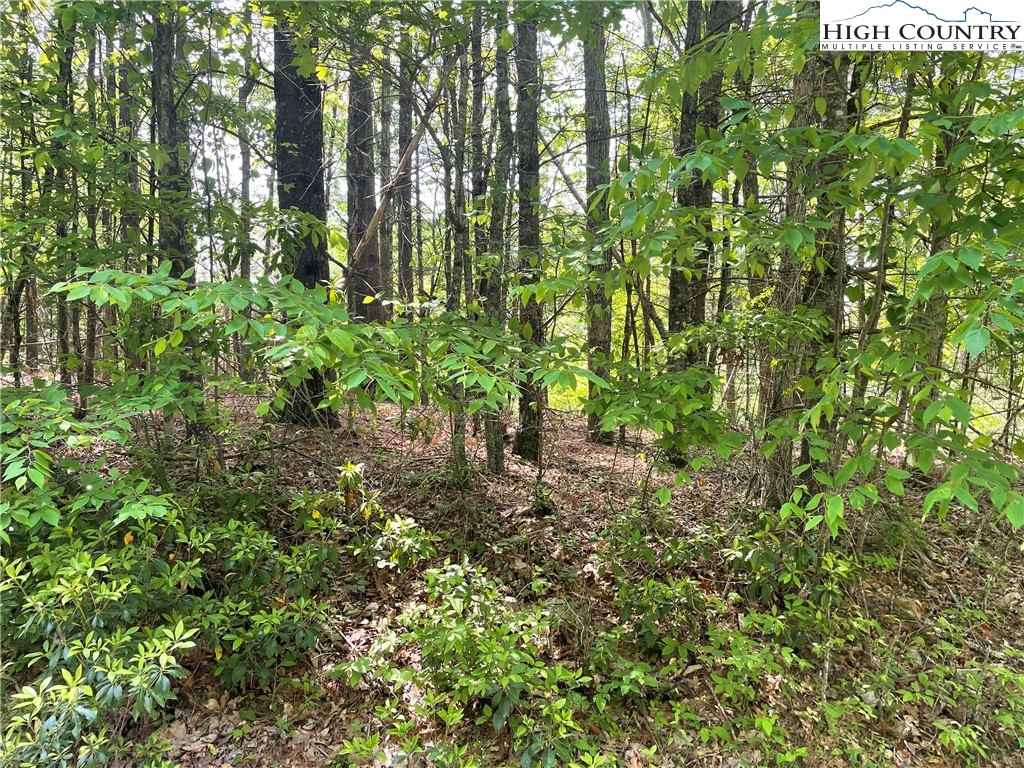 Lot 66 Daves Connector Road Jefferson, NC 28640 - Photo 13 of 20