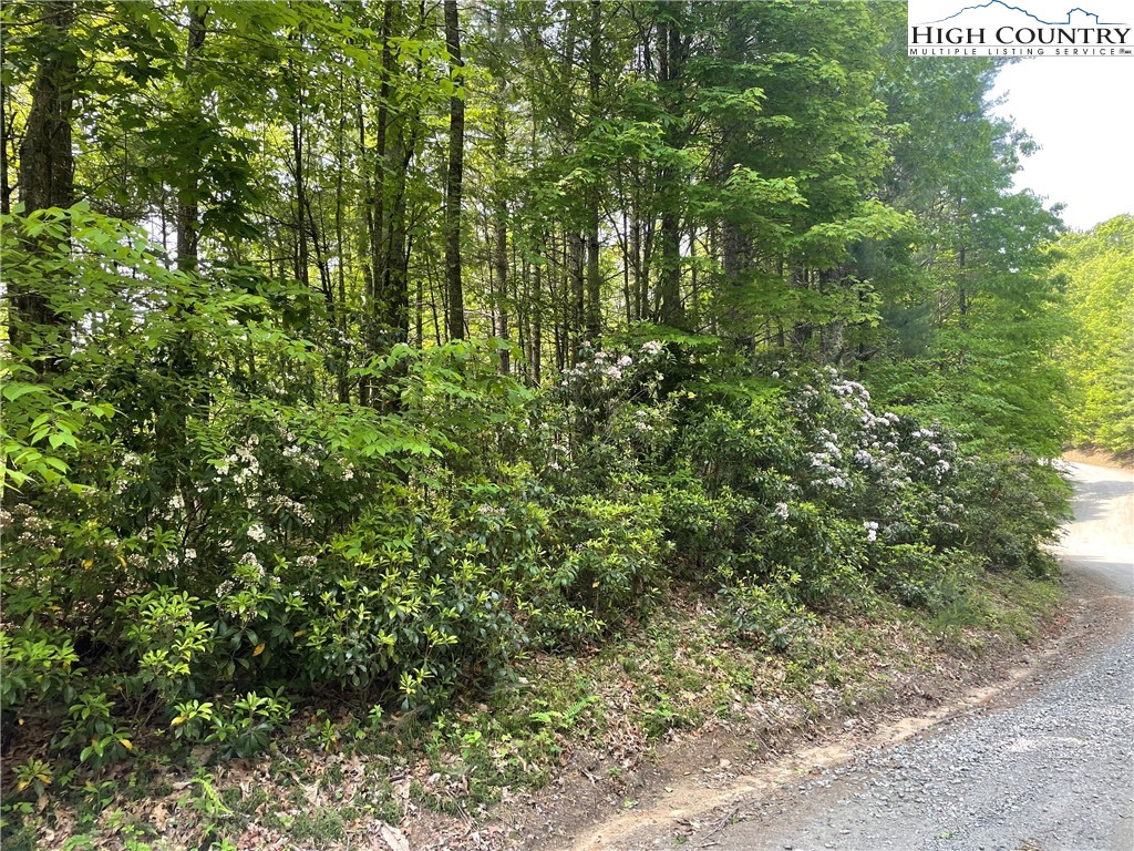 Lot 66 Daves Connector Road Jefferson, NC 28640 - Photo 17 of 20