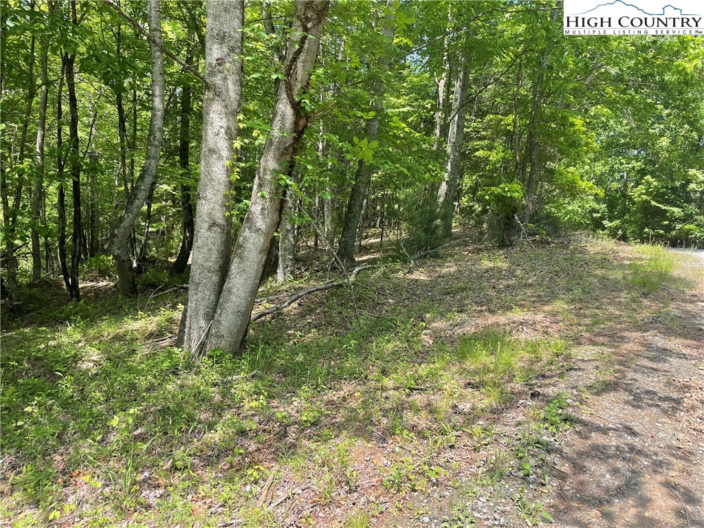 Lot 66 Daves Connector Road Jefferson, NC 28640 - Photo 20 of 20