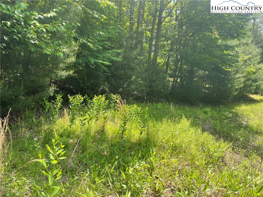 Lot 66 Daves Connector Road Jefferson, NC 28640 - Photo 8 of 20