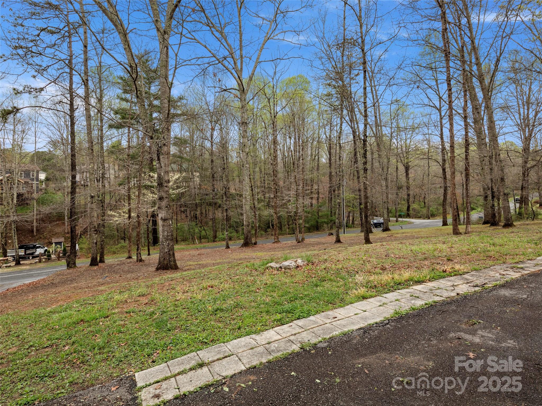 530 Gilreath Loop Road Mills River, NC 28759 - Photo 31 of 31 Gallery Image 31