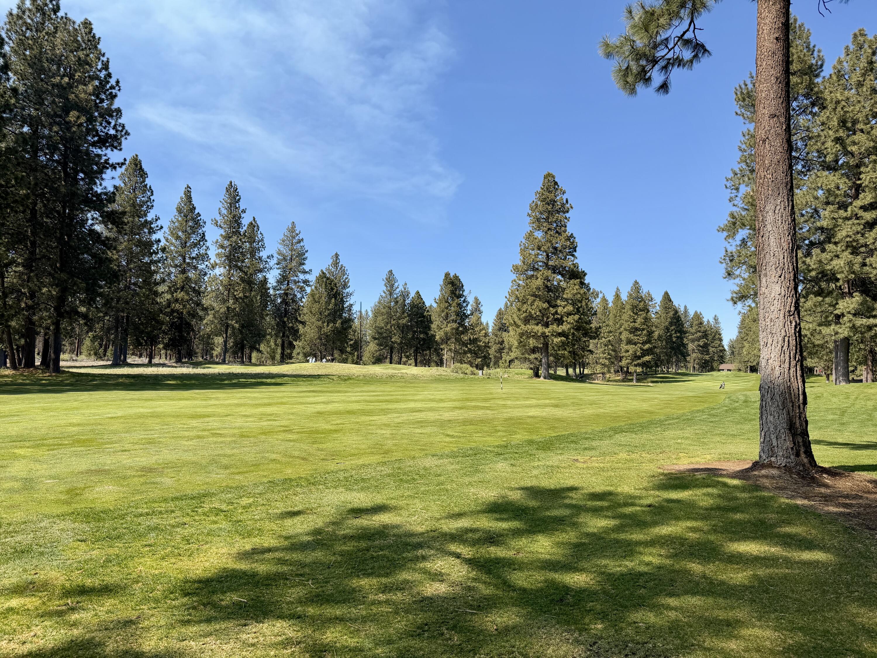 60749 Golf Village Loop Bend, OR 97702 - Photo 18 of 54 IMG_0066