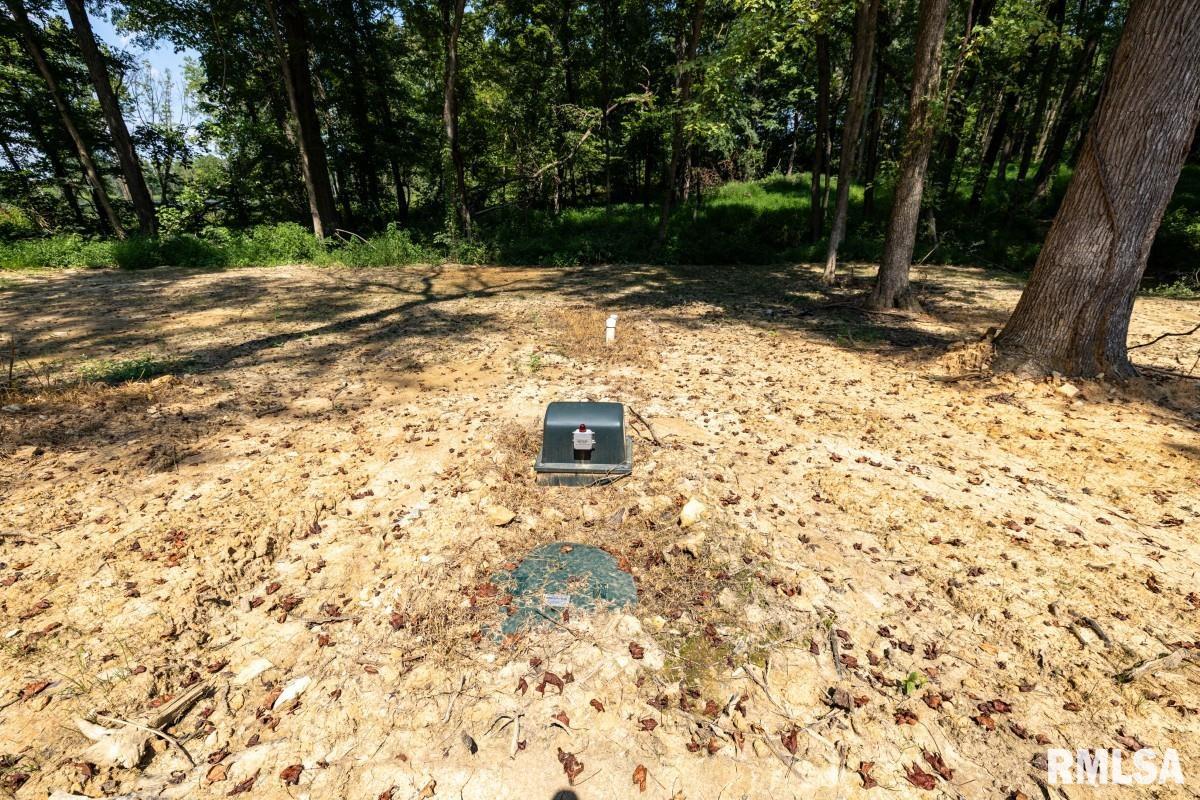 6445 State Rte 146 East Vienna, IL 62995 - Photo 27 of 35