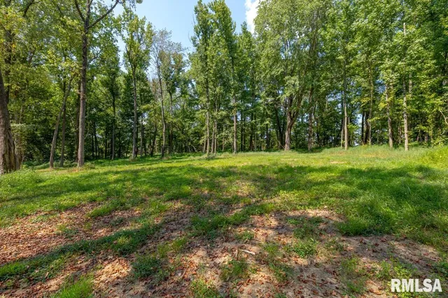 $150,000 | 6445 State Rte 146 East, Vienna, IL 62995