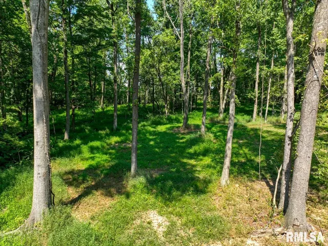 $150,000 | 6445 State Rte 146 East, Vienna, IL 62995