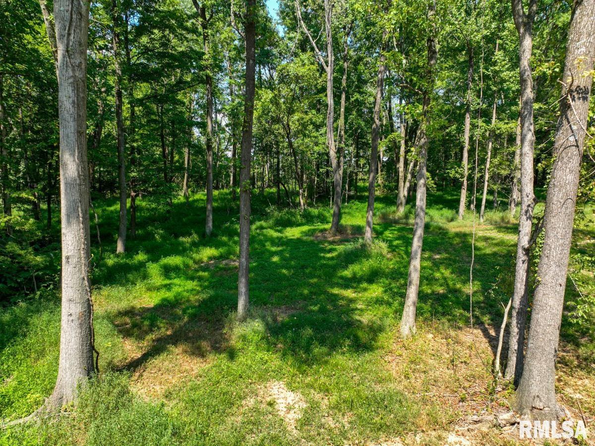 6445 State Rte 146 East Vienna, IL 62995 - Photo 30 of 35