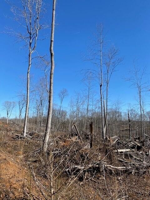 20 River Road Decatur, TN 37322 - Photo 2 of 5 a view of a garden with a tree